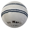 Picture of Cricket Ball Fireworks White Leather by Cricket Equipment USA